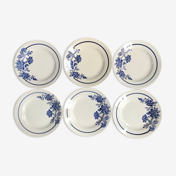 Set of 6 old flat plates