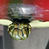 Set of Mont Chevalier Cannes fireplace trims