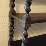Bookcase twisted wood shelf removable coil