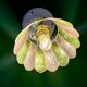 Vintage wall lamp with a green and pink mother-of-pearl lampshade