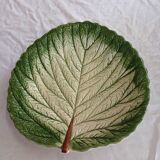 Flat slushie set and strawberry drainer