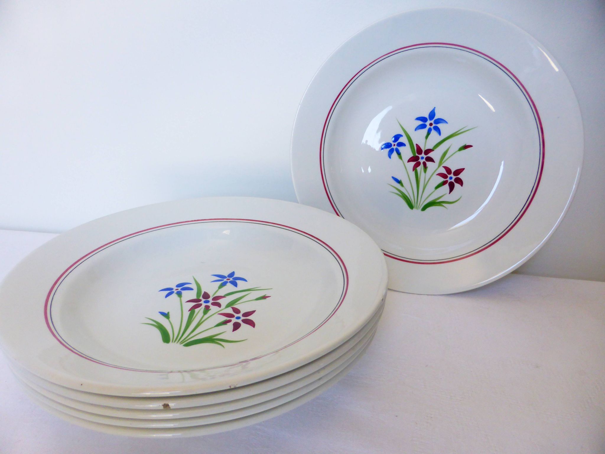 6 assiettes creuses des Salins modèle Lily