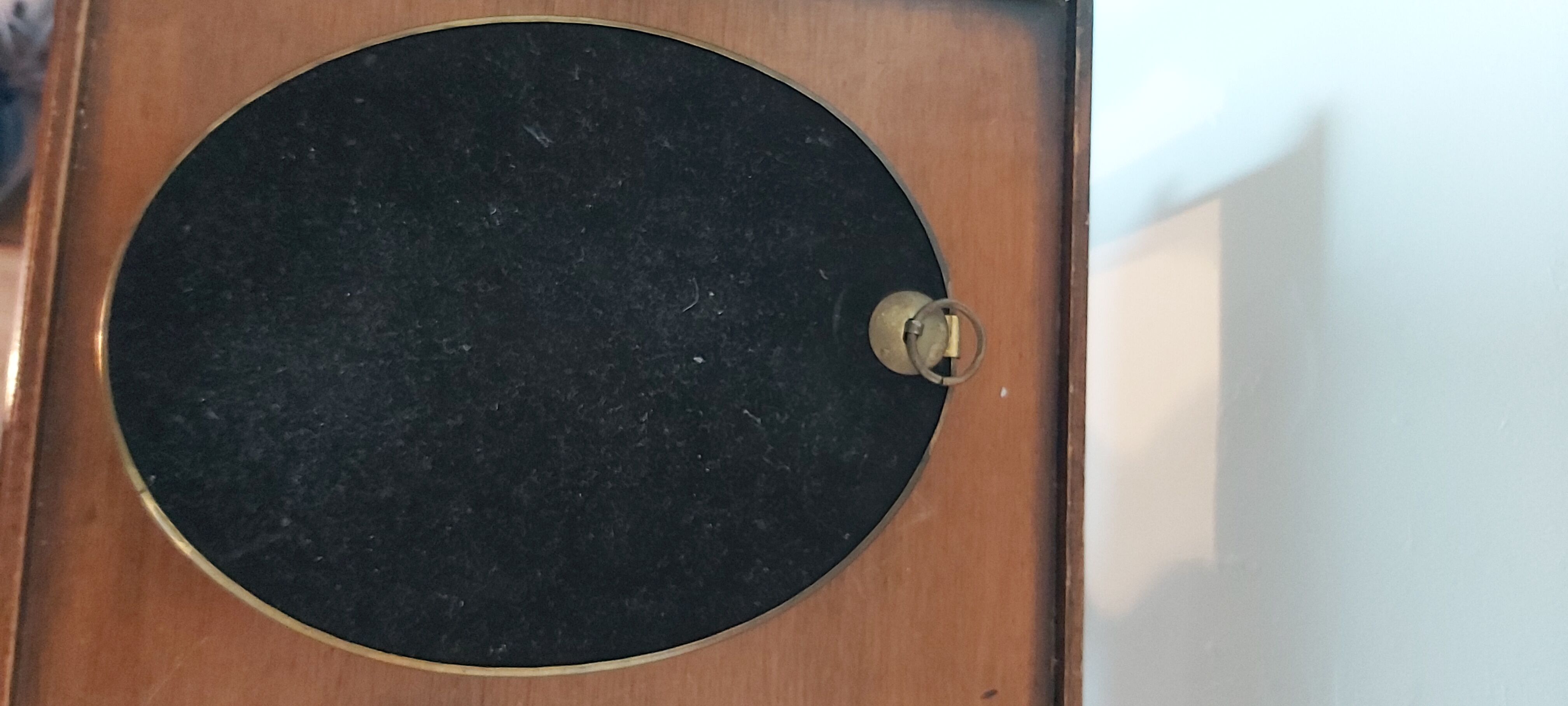 3 frames of dried flowers in curved glass