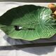 Exotic leaf fruit bowl