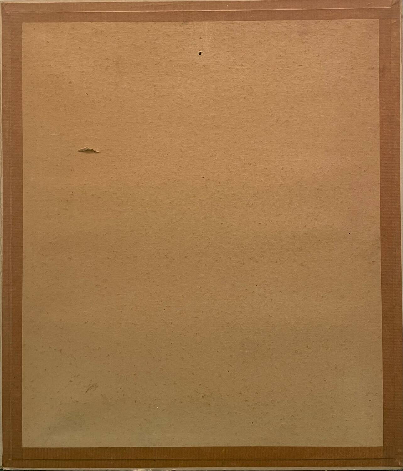 Portrait of a woman 20th century