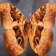 Morpho butterfly box  60