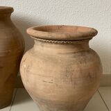Terracotta pot