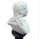 Marble bust of a woman, 20th century