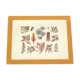 Framed Wildflower Botanical Plate