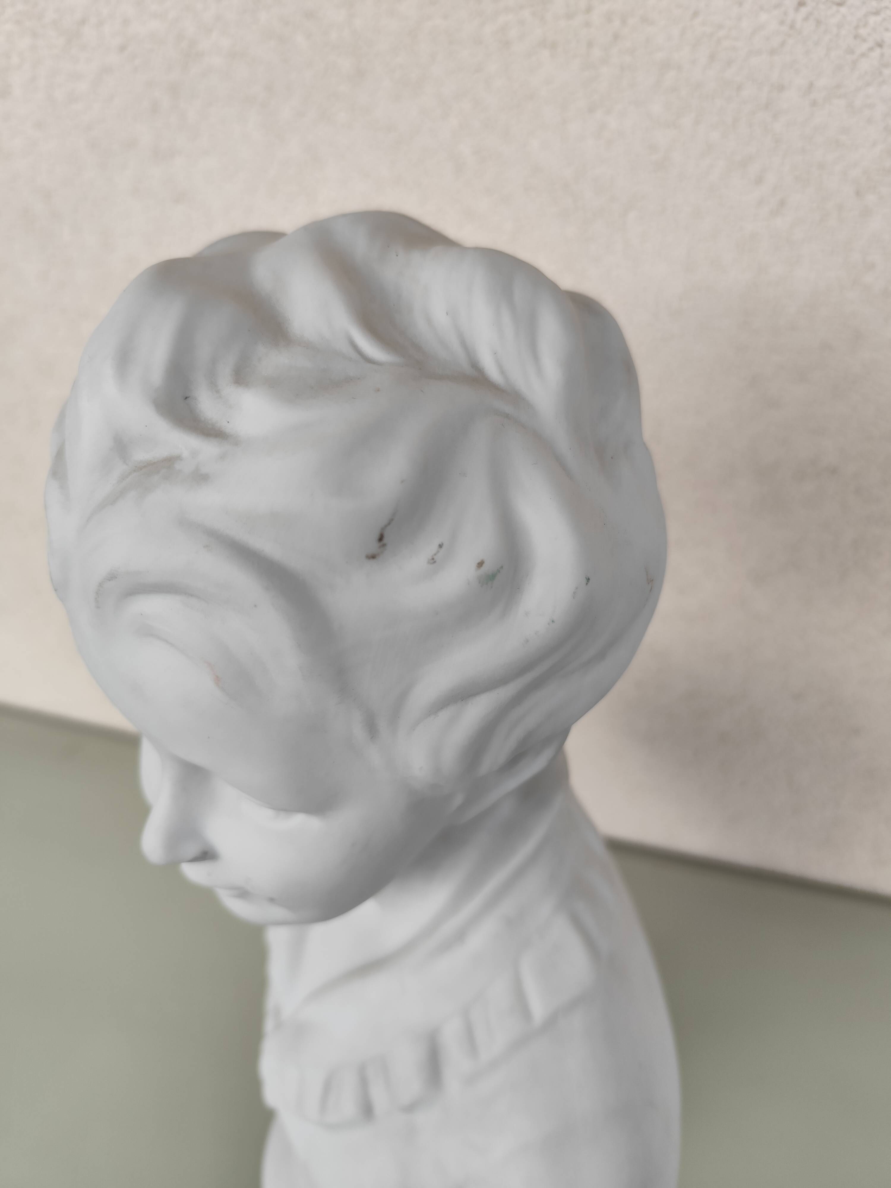 Bust of alexandre brongniart after houdon