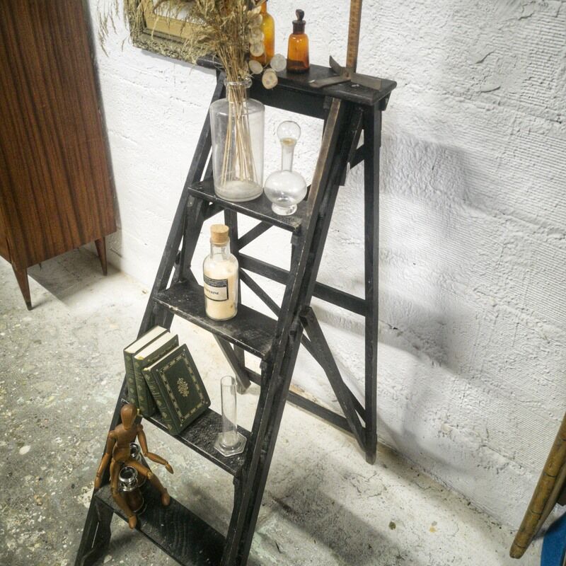 Library ladder
