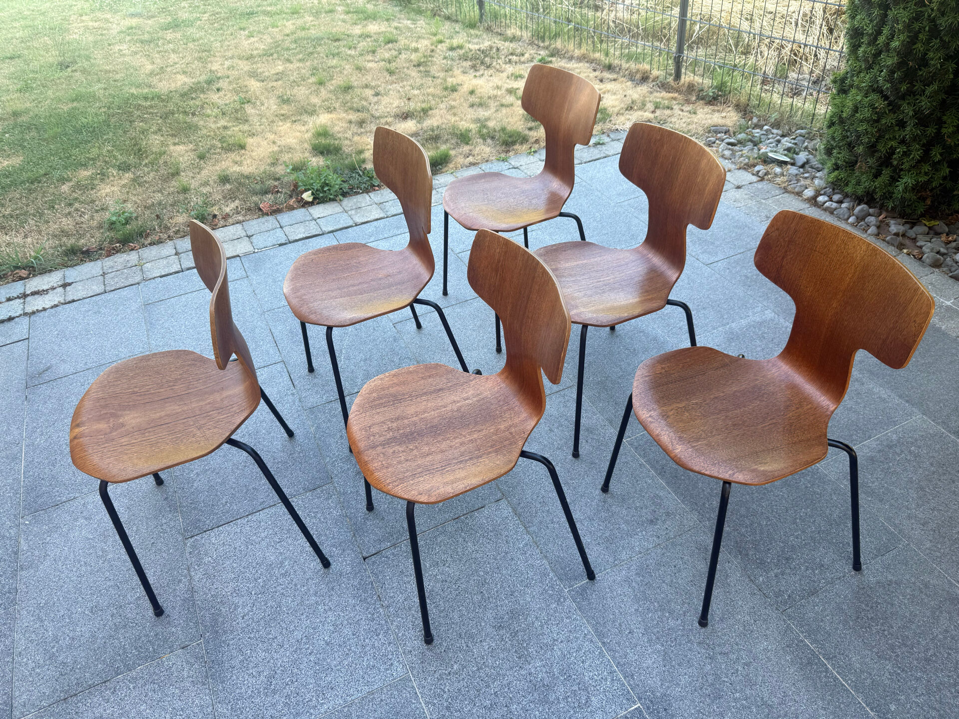 Lot de 6 chaises scandinave Fritz Hansen 1960