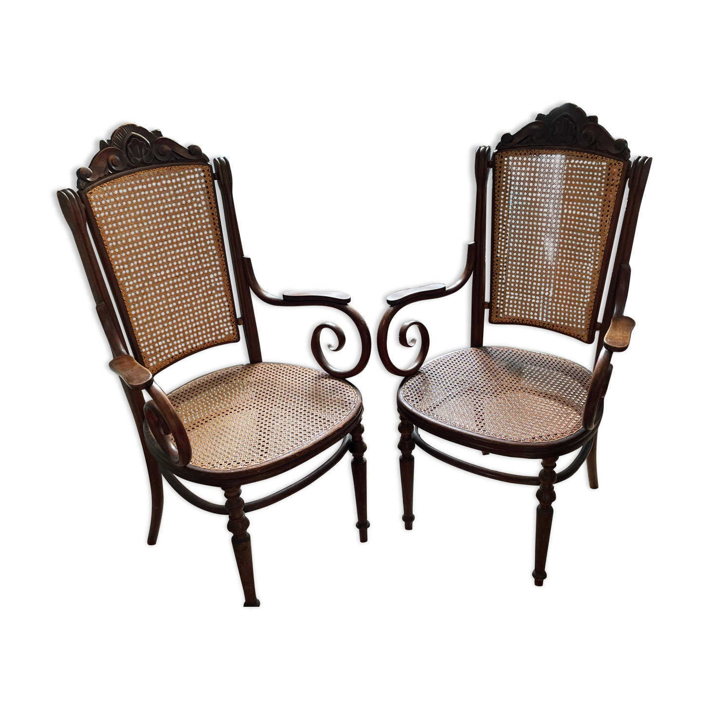 Fischel armchairs