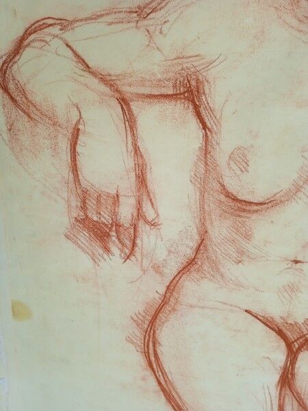Drawing sanguine study nude female 67/50cm 1950