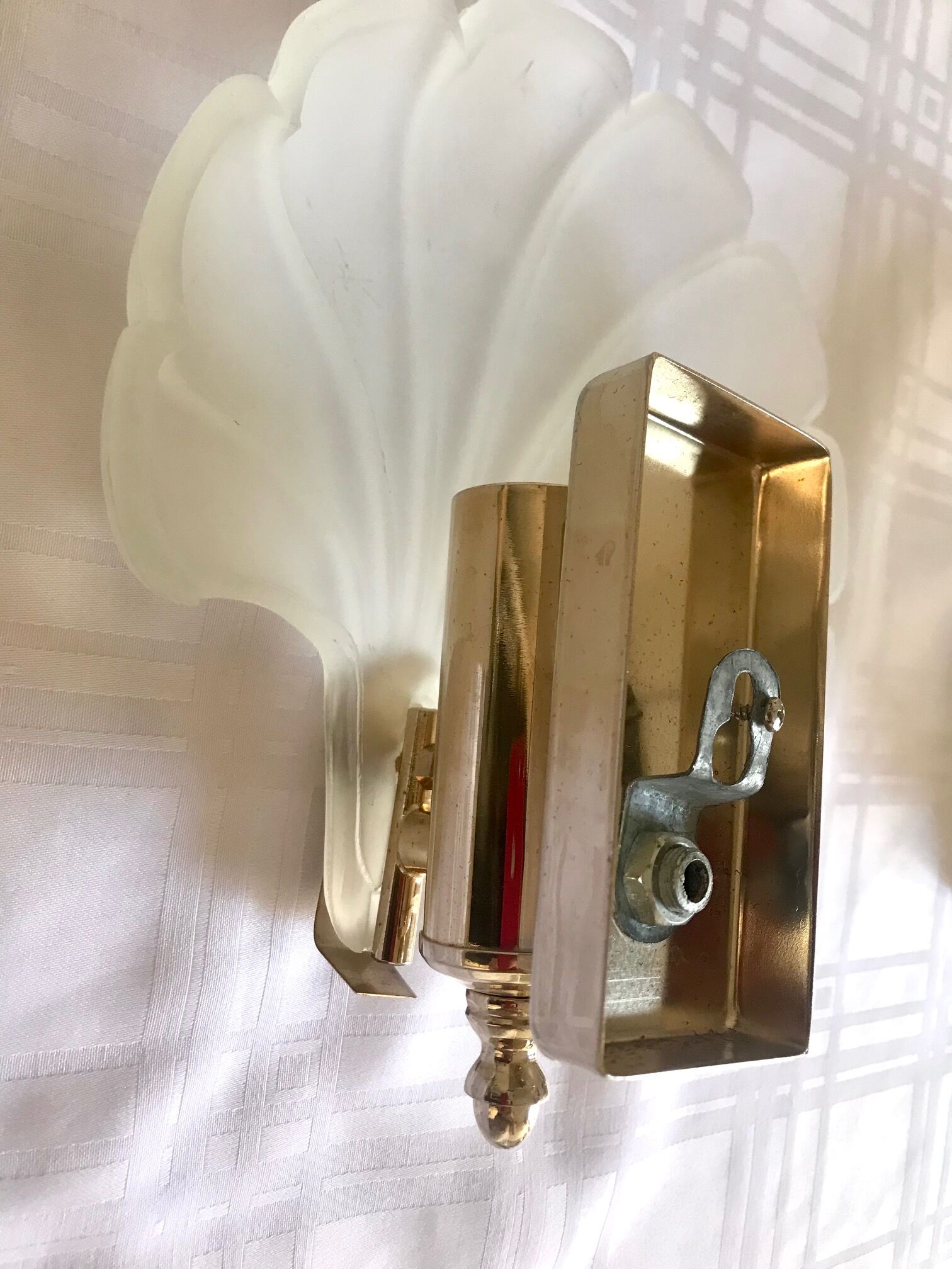 Pair of shell sconces