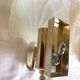 Pair of shell sconces