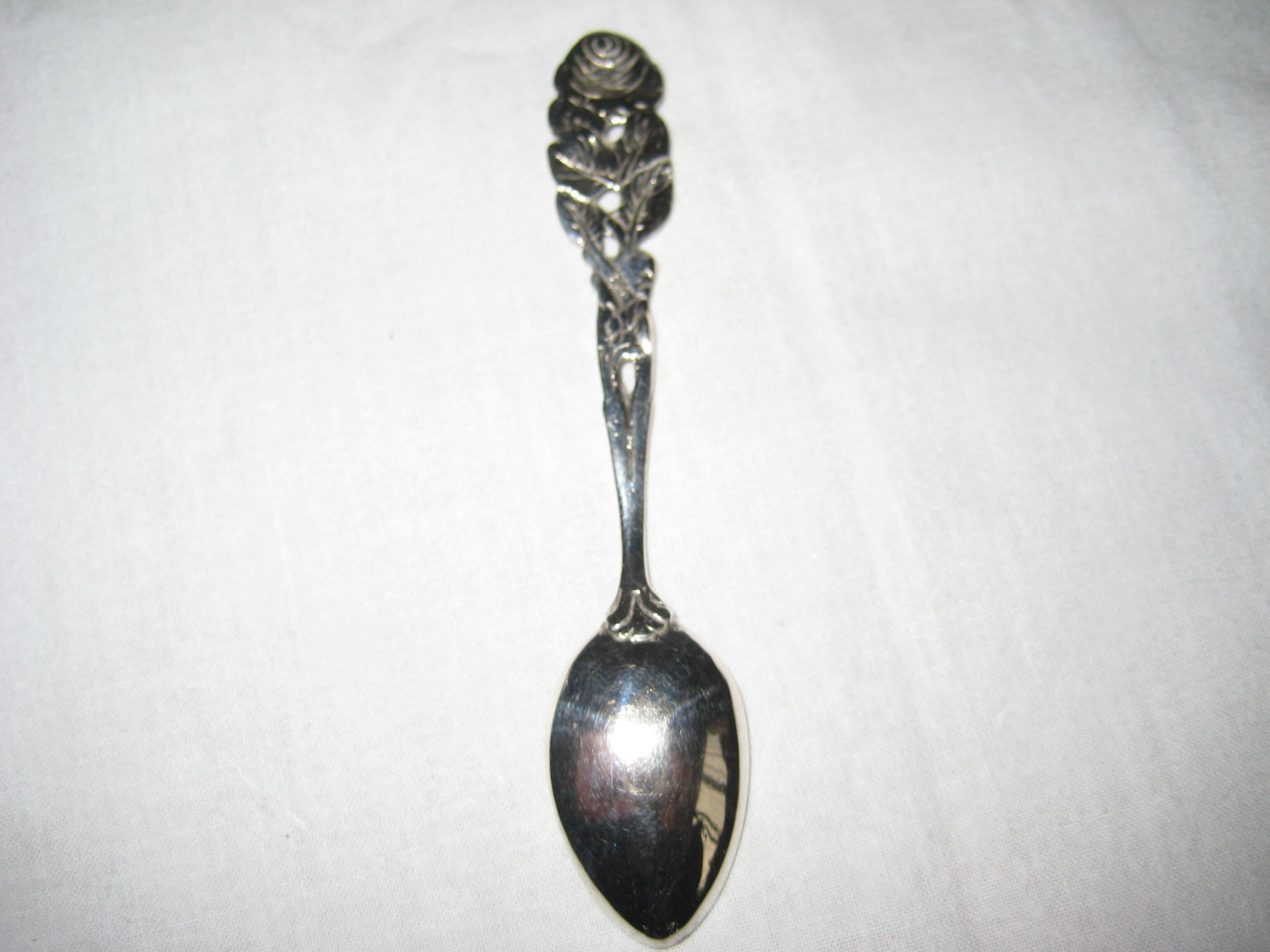 silver metal sugar and silver sugar spoon.