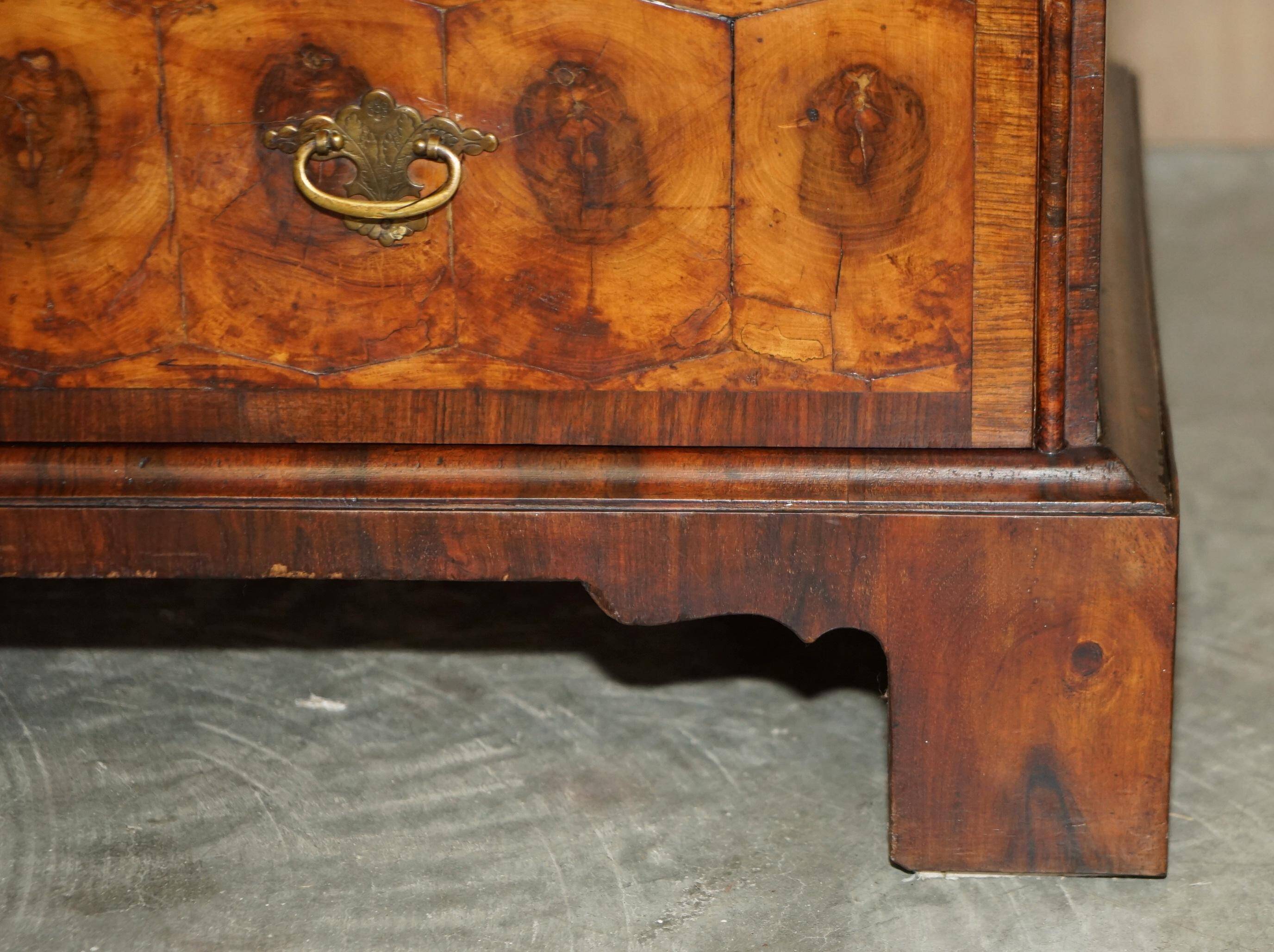 Antique Georgian Display Cabinet in Oyster Veneer circa 1780