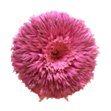 Juju Hat pink headdress 80cm