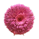 Juju Hat pink headdress 80cm