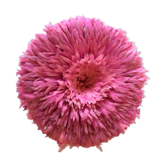 Coiffe Juju Hat rose 80CM