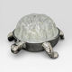 Turtle-shaped flower holder