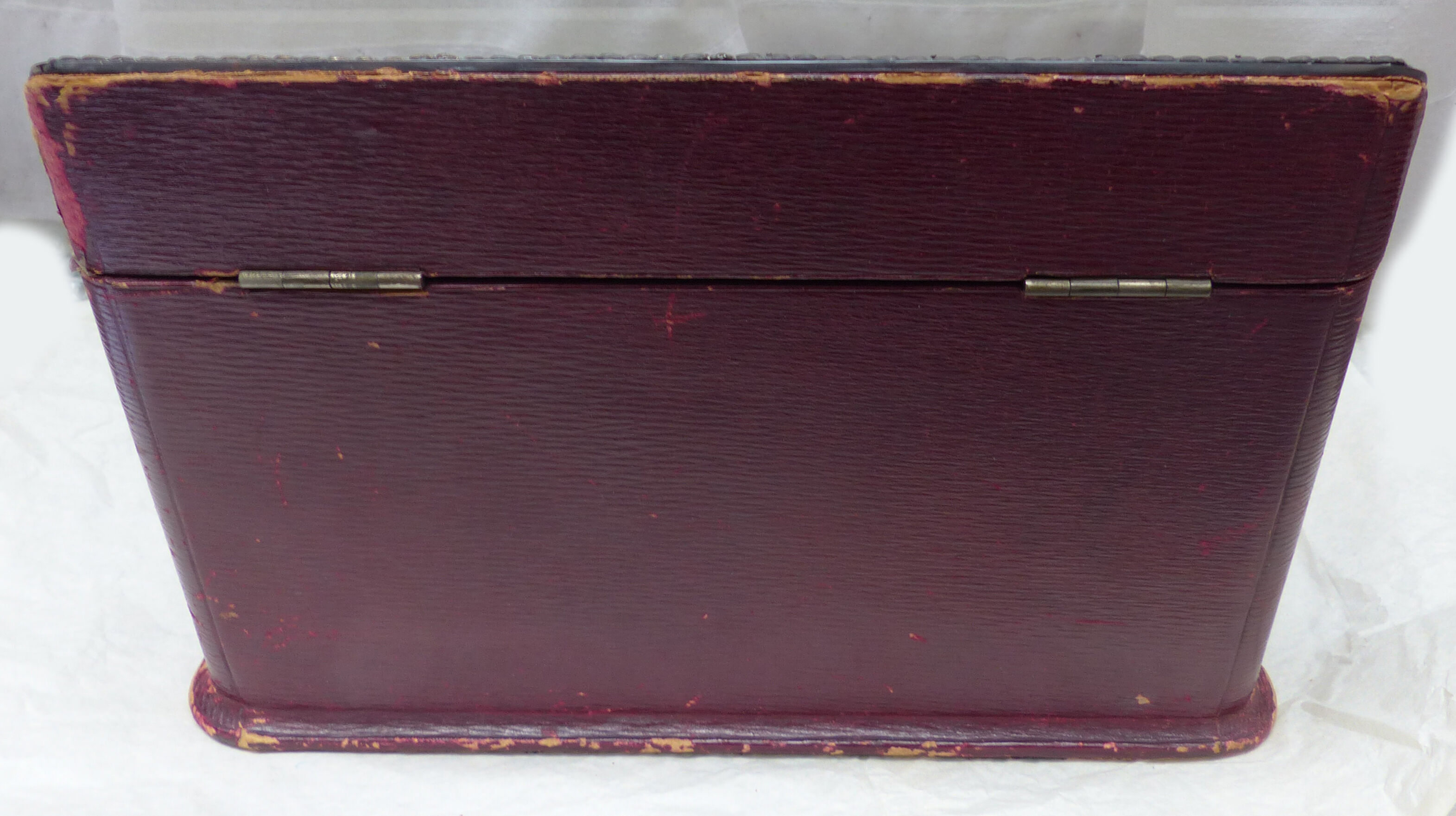 Silver and scale mail box