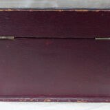 Silver and scale mail box