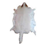 Sheepskin