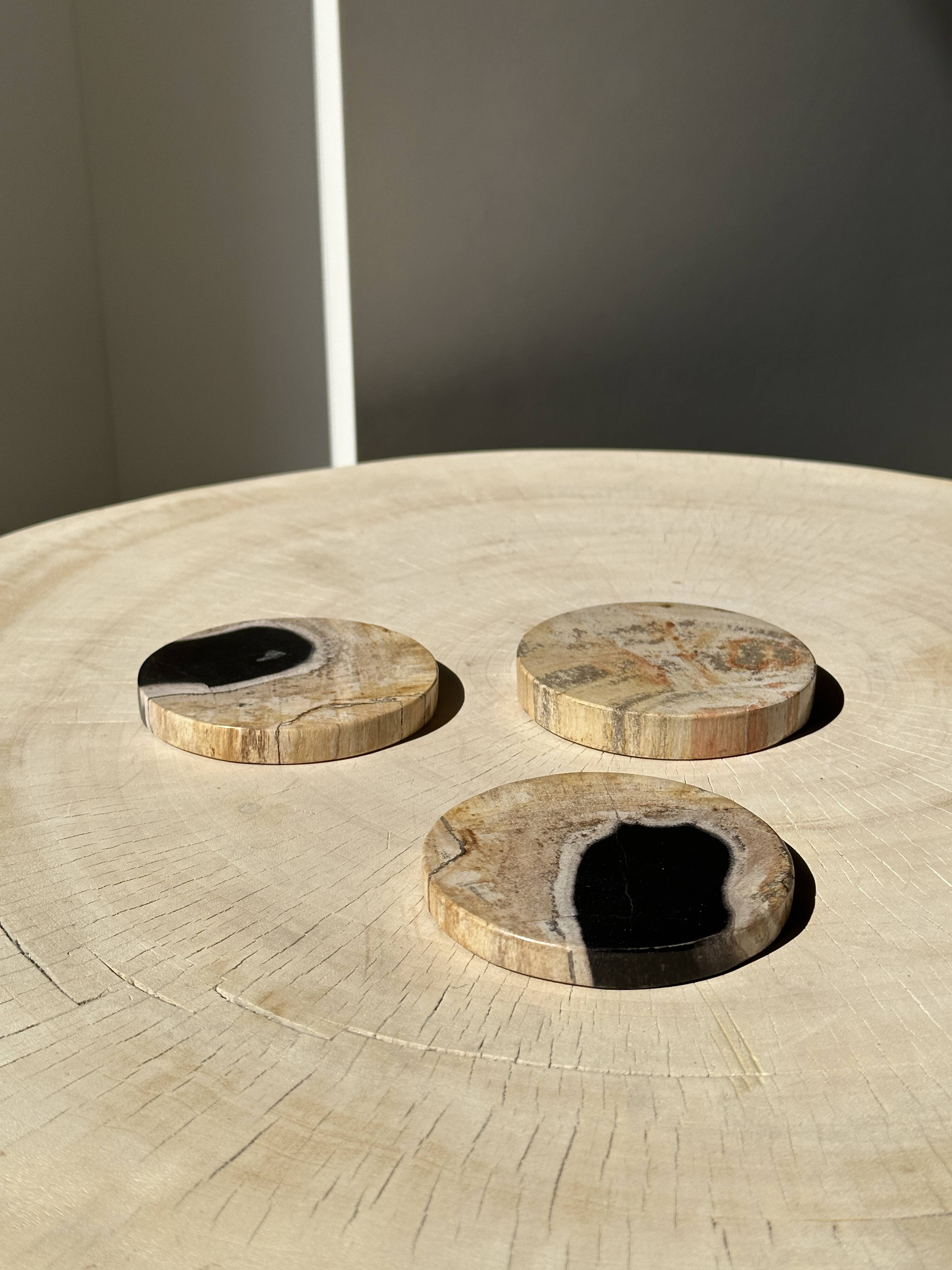 Set of 3 fossilized wood coasters (clear)