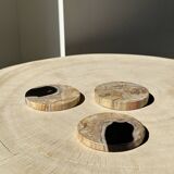 Set of 3 fossilized wood coasters (clear)