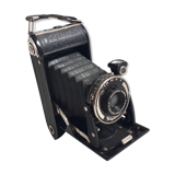 Voigslander bellows camera