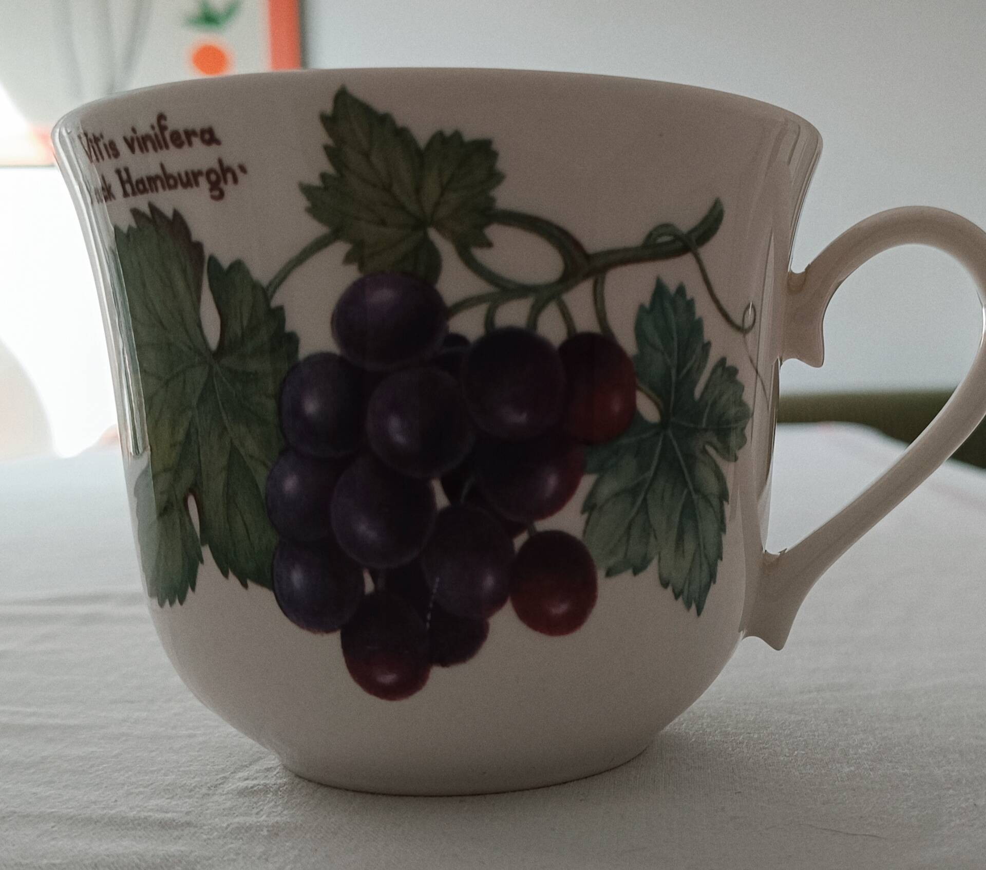 English cup