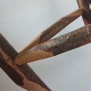 Pair of walnut stools sculpted in a vintage mid-century cross-section.
