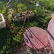 Wrought iron garden furniture