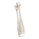 Christofle silver-plated sugar tongs, Albi model
