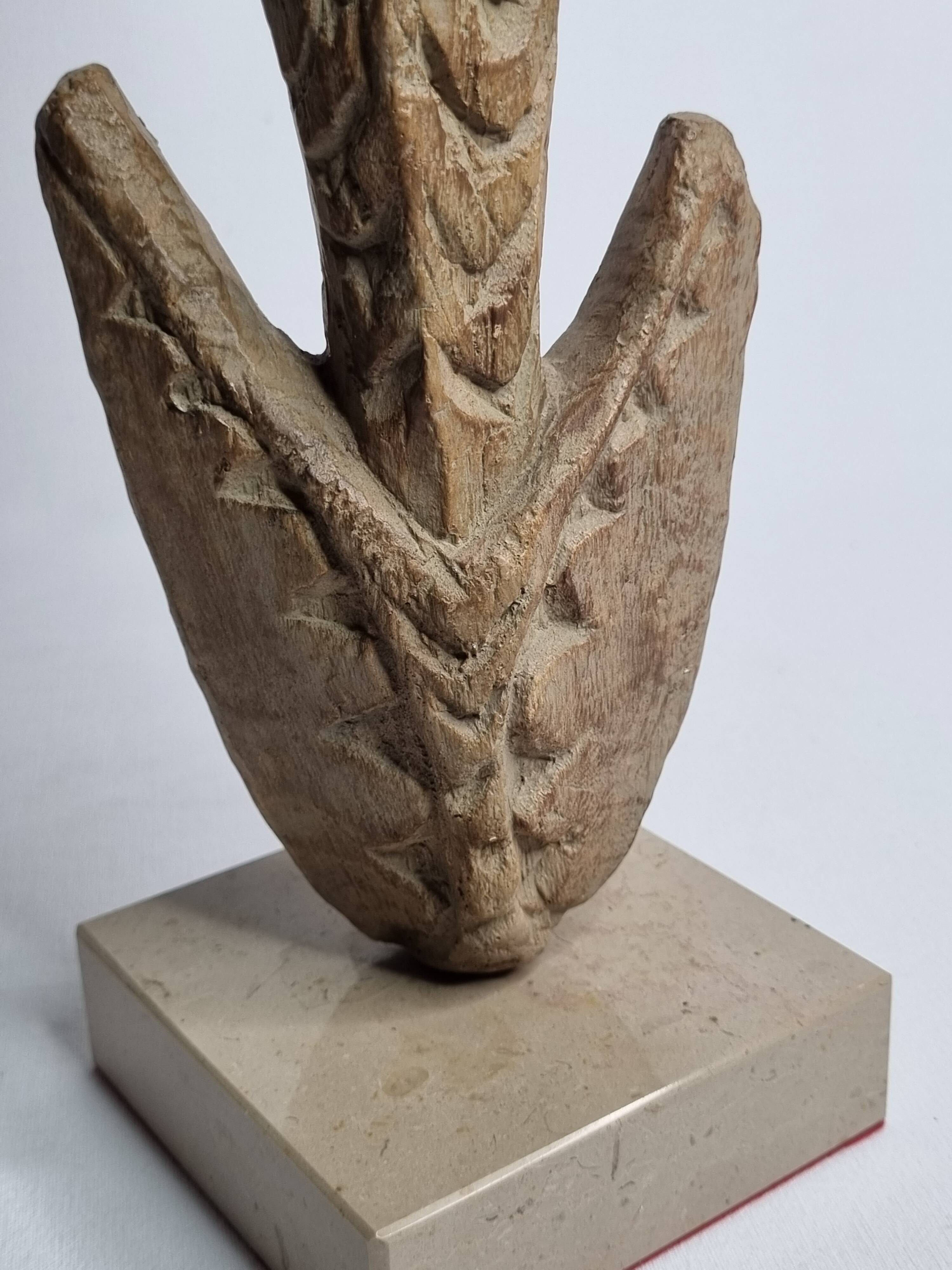 Large Sepik hook, known as Oceanian arrow, 61 cm