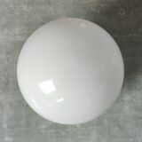 Shell bedside lamp