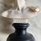 Bust of David