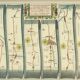 Old illustrated ribbon map from London to Barwick