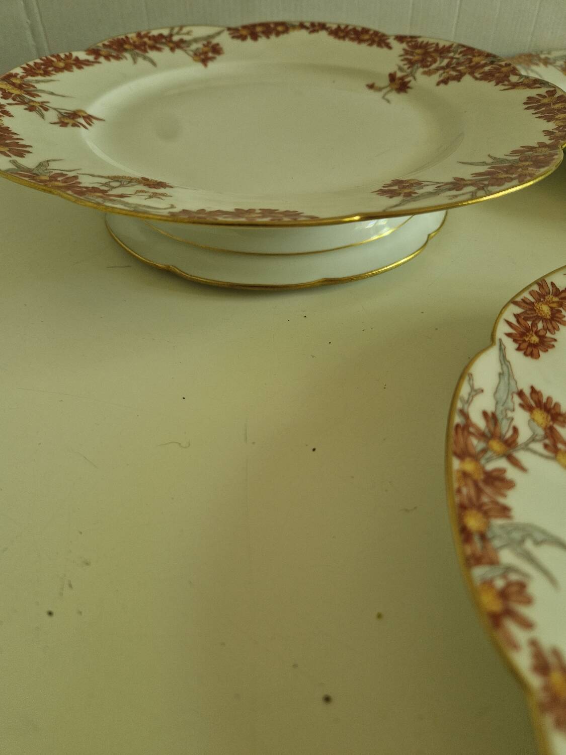 Lot of 11 Porcelain Dinner Plates Plus Presentation Dish Manufactured