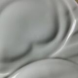Pillivuyt white porcelain plates