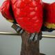 Glazed ceramic parakeet signed Maillard