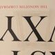 Typographic collection poster