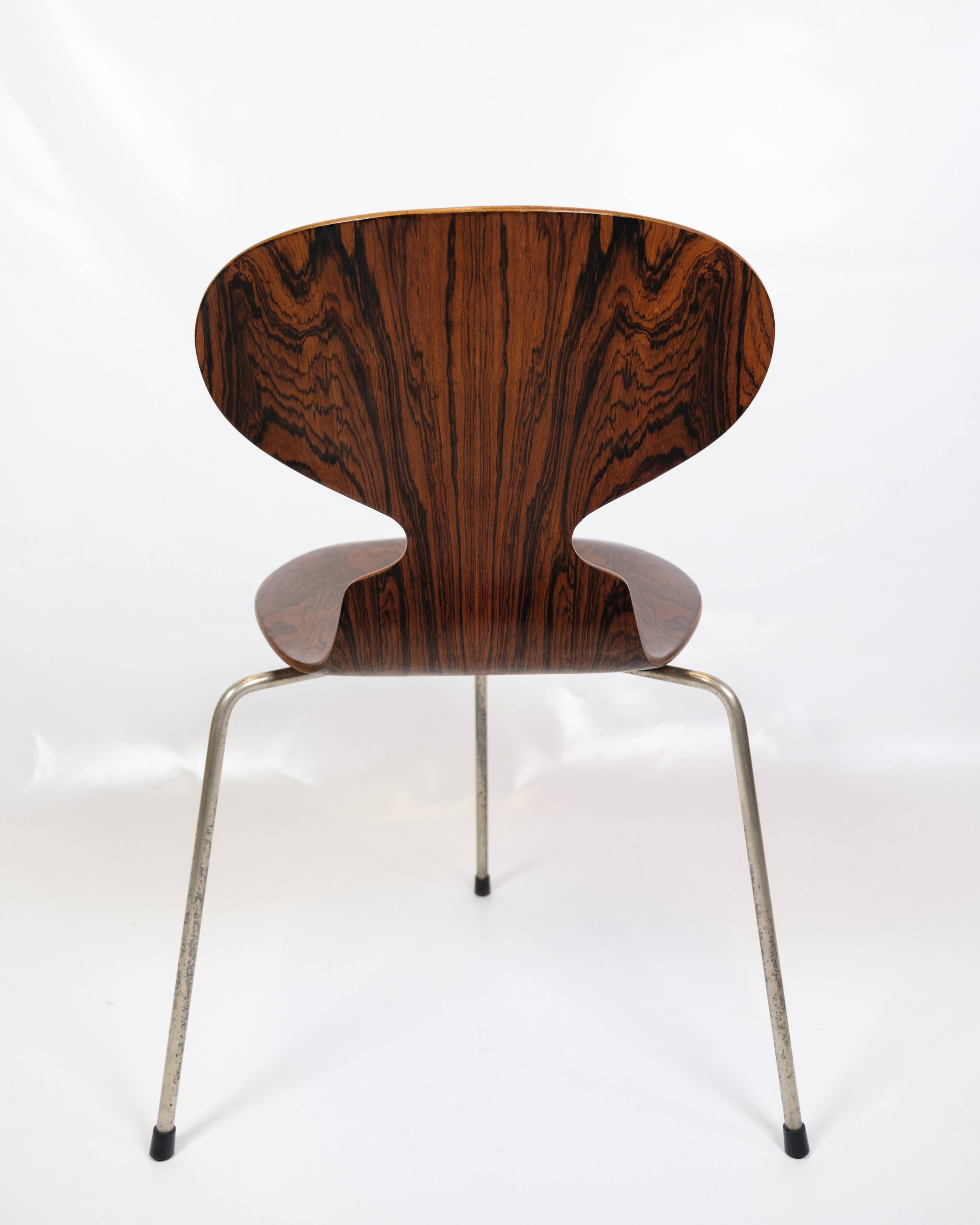 Set Of 6 Ant Chairs Model 3101 Made In Rosewood By Arne Jacobsen For Fritz Hansen From 1950s