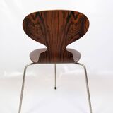 Lot de 6 chaises Ant modèle 3101 fabriquées en palissandre par Arne Jacobsen pour Fritz Hansen des années 1950