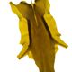 Pretty South African antelope skin bought at auction 66x100cm