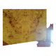 elm burl coffee table