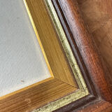 Antique illustration of a bird. Antique framed illustration of a bird.