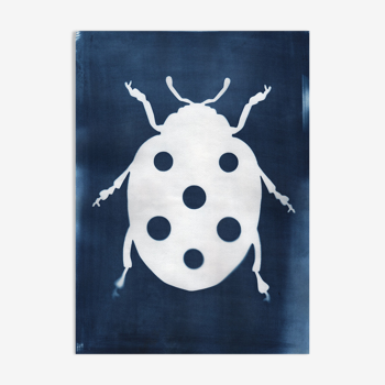 Illustration cyanotype ladybug • signed Eawy • CY664